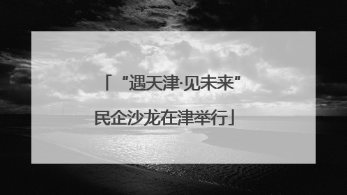 “遇天津·见未来”民企沙龙在津举行