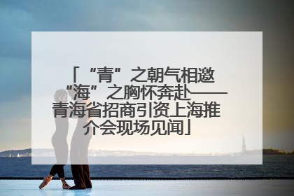 “青”之朝气相邀 “海”之胸怀奔赴——青海省招商引资上海推介会现场见闻