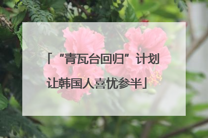 “青瓦台回归”计划让韩国人喜忧参半