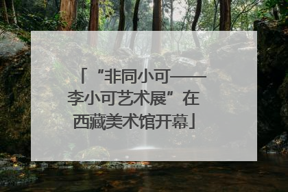 “非同小可——李小可艺术展”在西藏美术馆开幕
