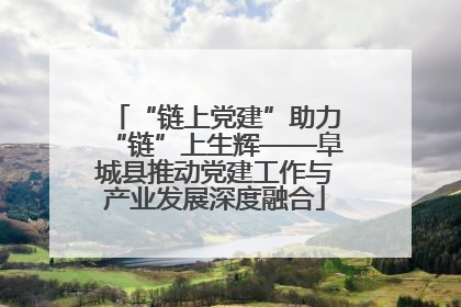 “链上党建”助力“链”上生辉——阜城县推动党建工作与产业发展深度融合