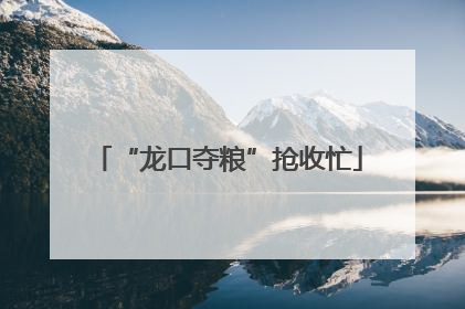 “龙口夺粮”抢收忙