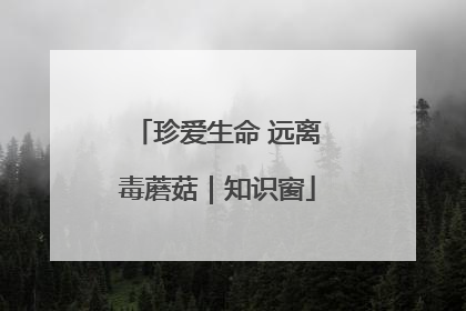 珍爱生命 远离毒蘑菇｜知识窗
