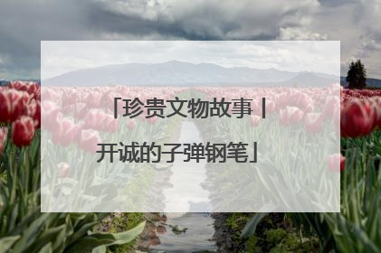 珍贵文物故事丨开诚的子弹钢笔