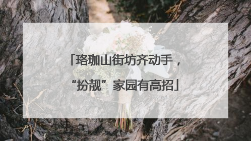 珞珈山街坊齐动手，“扮靓”家园有高招