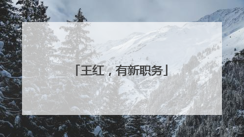 王红，有新职务