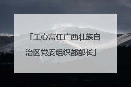 王心富任广西壮族自治区党委组织部部长
