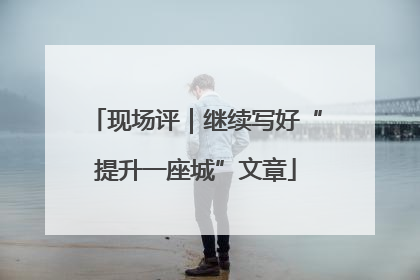 现场评｜继续写好“提升一座城”文章