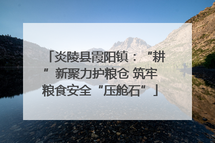 炎陵县霞阳镇：“耕”新聚力护粮仓 筑牢粮食安全“压舱石”