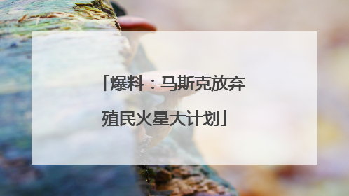 爆料：马斯克放弃殖民火星大计划