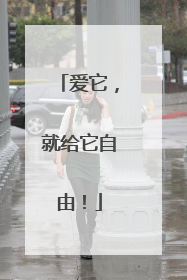 爱它，就给它自由！