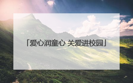 爱心润童心 关爱进校园