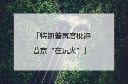 特朗普再度批评普京“在玩火”