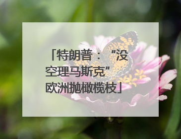 特朗普：“没空理马斯克” 欧洲抛橄榄枝
