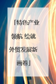 特色产业领航 绘就外贸发展新画卷