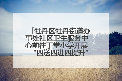 牡丹区牡丹街道办事处社区卫生服务中心前往丁堂小学开展“四送四进四提升”及无烟日宣传活动