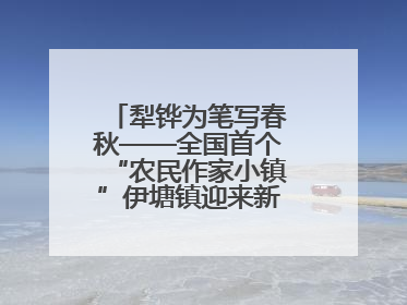 犁铧为笔写春秋——全国首个“农民作家小镇”伊塘镇迎来新乡土文学采风