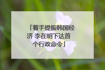 着手提振韩国经济 李在明下达首个行政命令