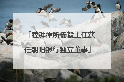 睦湃律所杨毅主任获任朝阳银行独立董事
