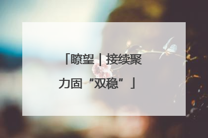 瞭望｜接续聚力固“双稳”