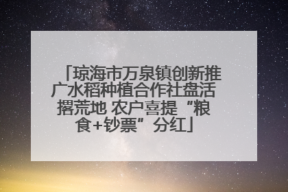 琼海市万泉镇创新推广水稻种植合作社盘活撂荒地 农户喜提“粮食+钞票”分红