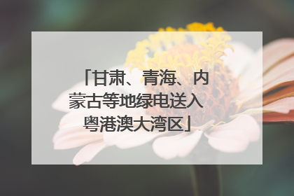 甘肃、青海、内蒙古等地绿电送入粤港澳大湾区