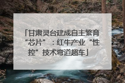 甘肃灵台建成自主繁育“芯片”：红牛产业“性控”技术弯道超车