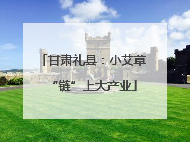 甘肃礼县：小艾草“链”上大产业