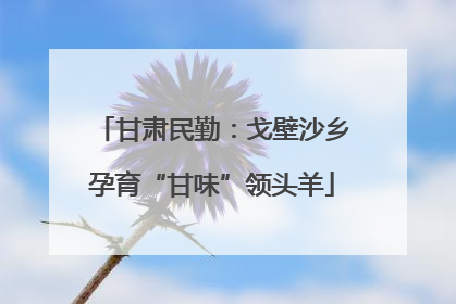 甘肃民勤：戈壁沙乡孕育“甘味”领头羊