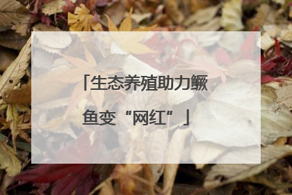 生态养殖助力鳜鱼变“网红”