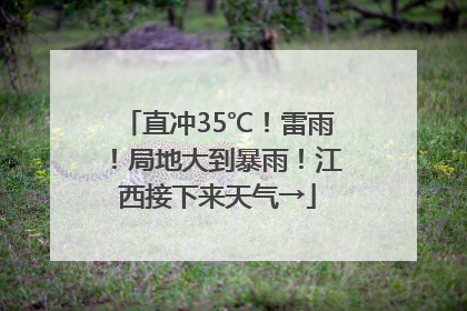 直冲35℃！雷雨！局地大到暴雨！江西接下来天气→