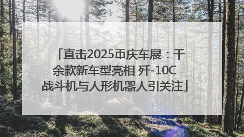 直击2025重庆车展：千余款新车型亮相 歼-10C战斗机与人形机器人引关注