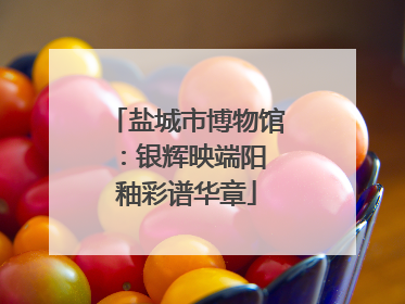 盐城市博物馆：银辉映端阳 釉彩谱华章