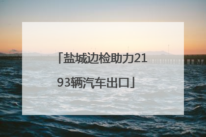 盐城边检助力2193辆汽车出口