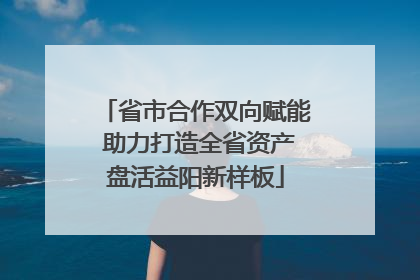 省市合作双向赋能 助力打造全省资产盘活益阳新样板