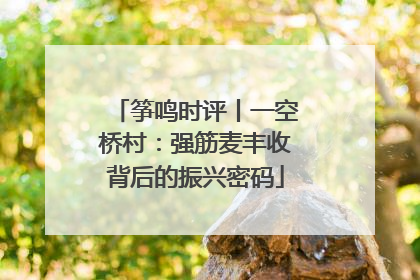 筝鸣时评丨一空桥村：强筋麦丰收背后的振兴密码