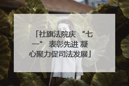 社旗法院庆 “七一” 表彰先进 凝心聚力促司法发展