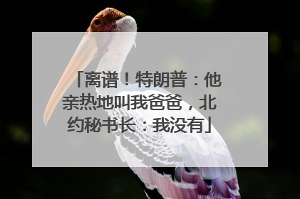 离谱！特朗普：他亲热地叫我爸爸，北约秘书长：我没有