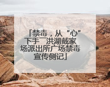 禁毒，从“心”下手――洪湖戴家场派出所广场禁毒宣传侧记
