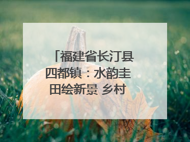福建省长汀县四都镇：水韵圭田绘新景 乡村振兴谱华章