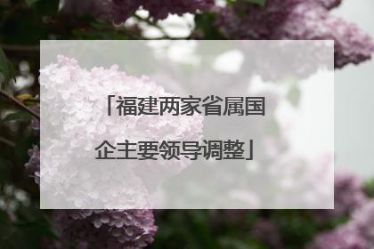 福建两家省属国企主要领导调整