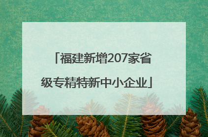 福建新增207家省级专精特新中小企业