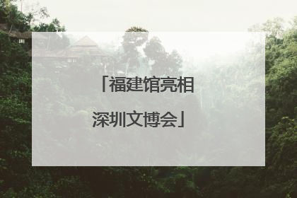 福建馆亮相深圳文博会