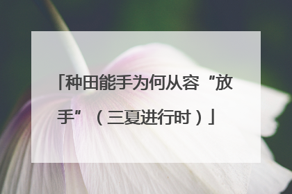 种田能手为何从容“放手”（三夏进行时）