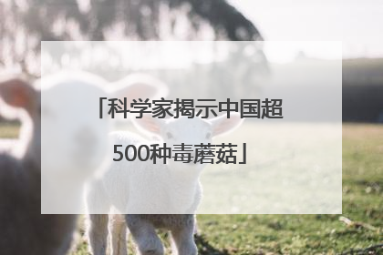 科学家揭示中国超500种毒蘑菇