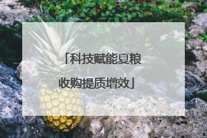 科技赋能夏粮收购提质增效
