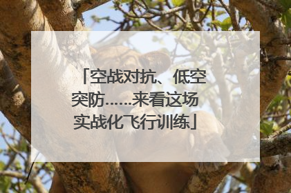 空战对抗、低空突防……来看这场实战化飞行训练