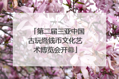 第二届三亚中国古玩暨钱币文化艺术博览会开幕