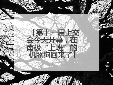 第十一届上交会今天开幕，在南极“上班”的机器狗回来了