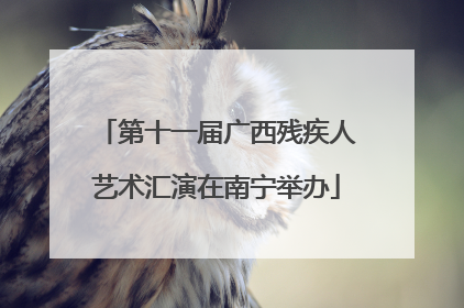 第十一届广西残疾人艺术汇演在南宁举办
